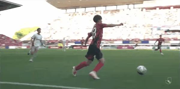 Highlight 50'
