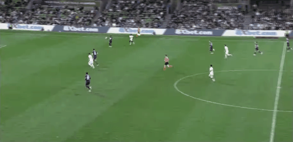 Highlight 80'