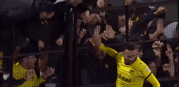 Highlight 30'