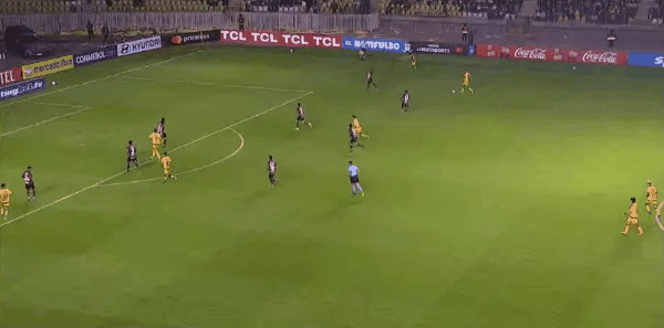 Highlight 50'