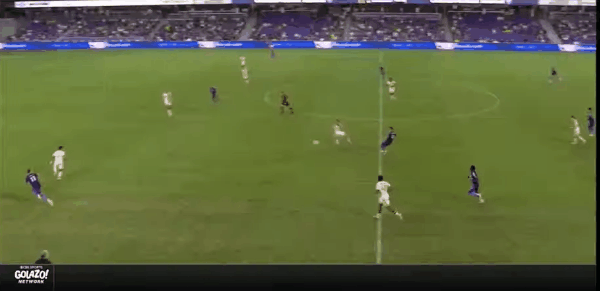 Highlight 50'