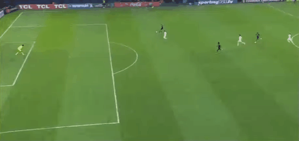 Highlight 95'